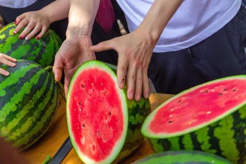 呼市大学免费吃瓜的群,夏日清凉福利大放送！”  第2张