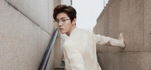 娱乐圈吃瓜李宏毅是谁,揭秘他的明星之路  第2张