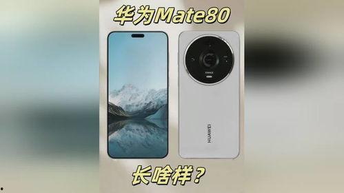 华为mate80最新最近爆料消息,颠覆性设计，全新技术，引领未来旗舰手机潮流  第3张